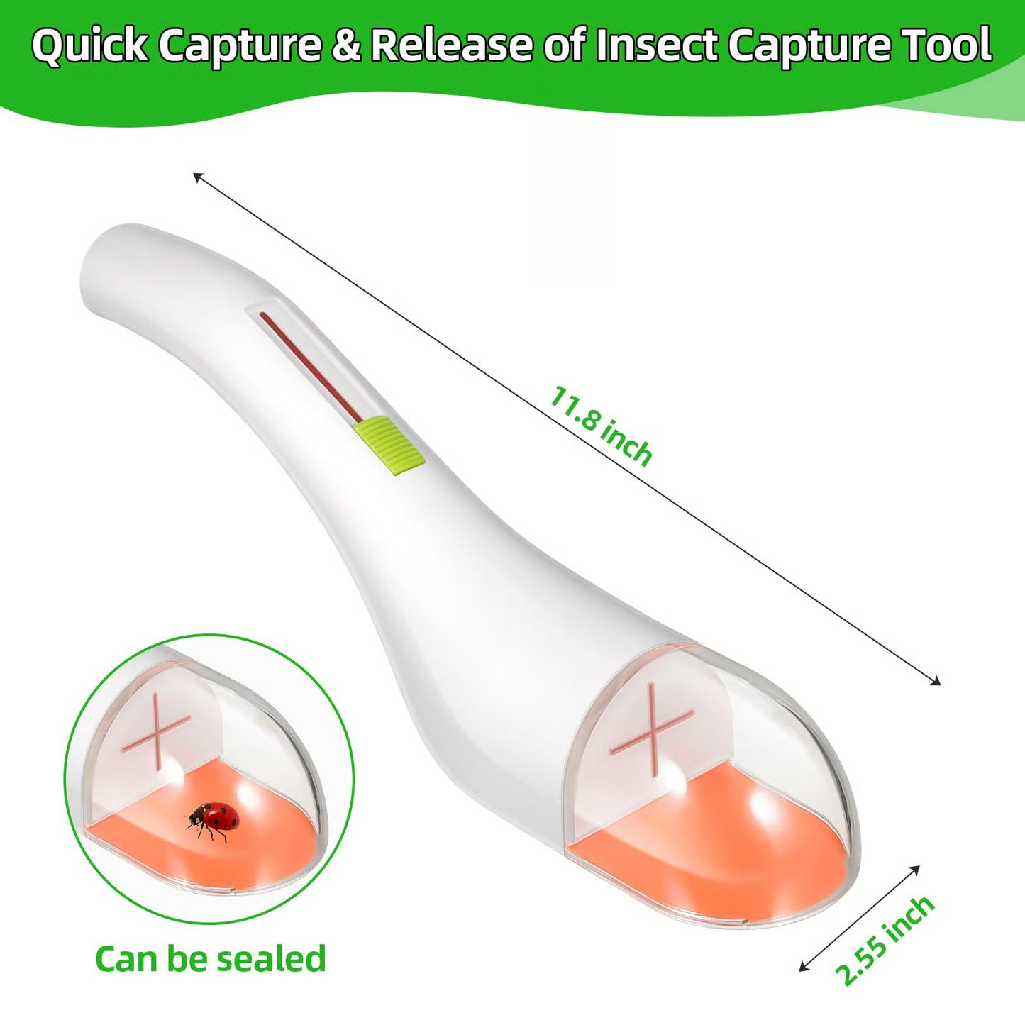 Quick-Release Insect Catching Tool
