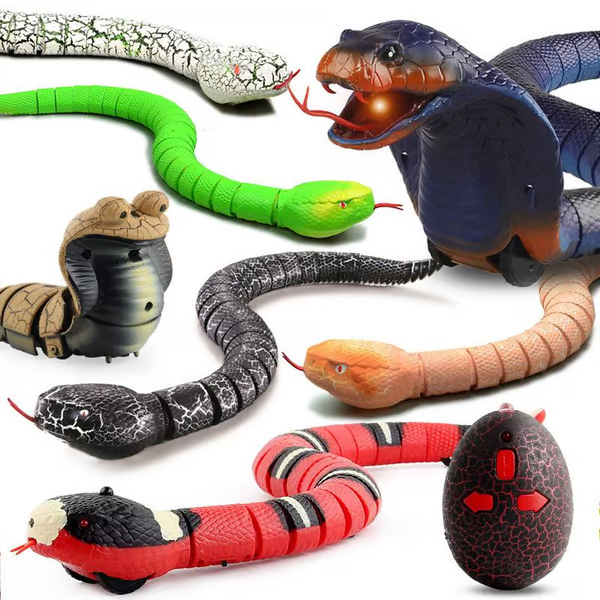 🌲🎁Innovation Snake