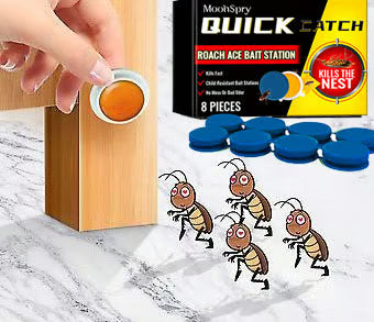 Roach Ace Bait Station