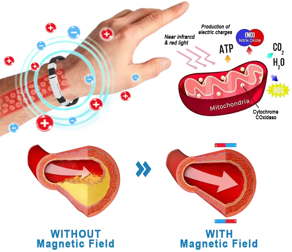 HEALTHYLIFE™ BLOOD PRESSURE REGULATOR BRACELET