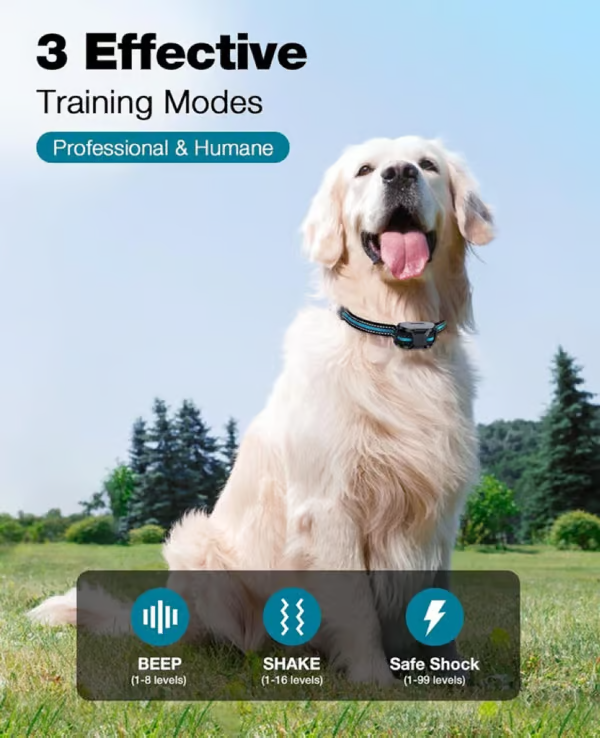 Shock Collars for Dogs - Training Collars with Remote Control