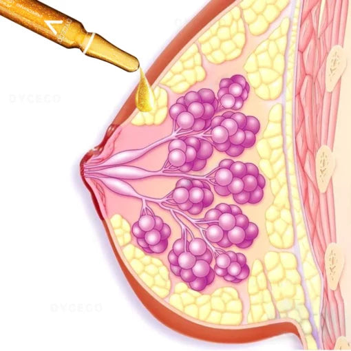 DYCECO™ Ampoule Breast Enlargement Serum