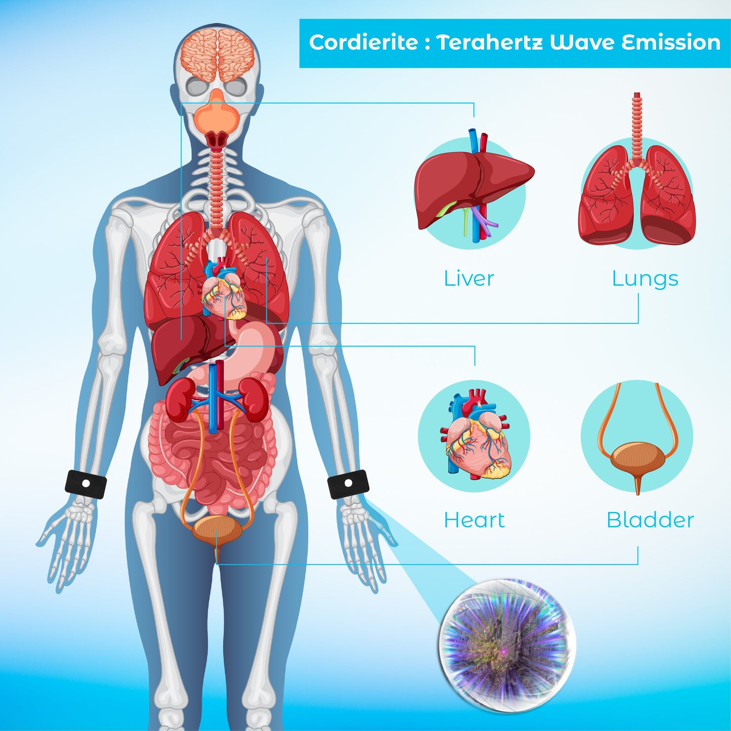 RICPIND GlucoseEase Equilibrium Wristband