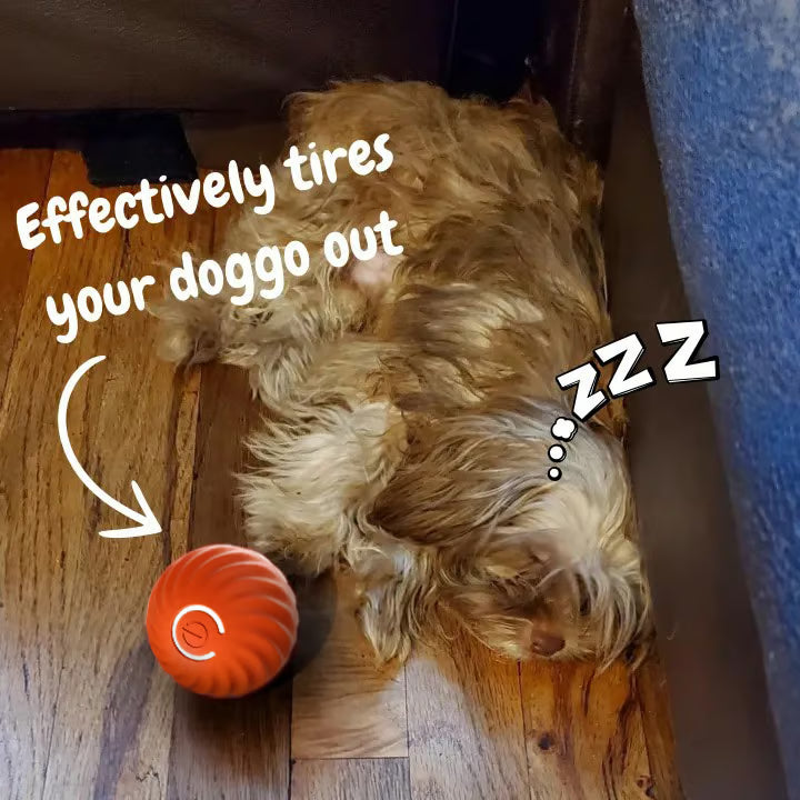 Chewie Viral Bouncing Ball