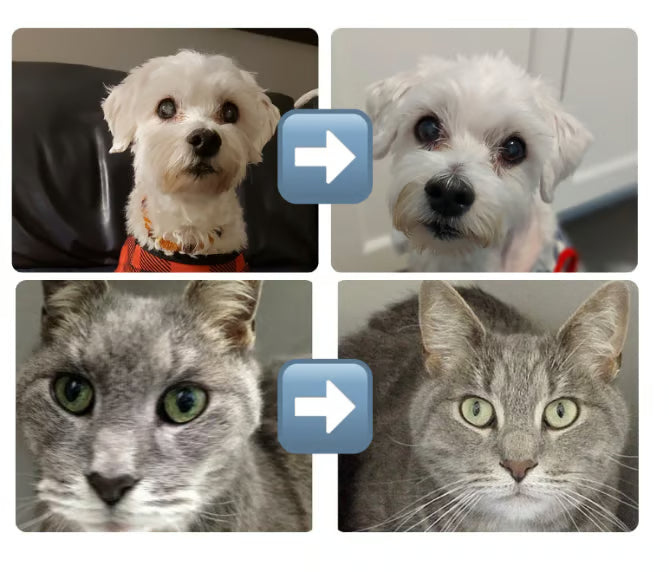 🐶🐱BrightEyes+ Eye Drops ForPets