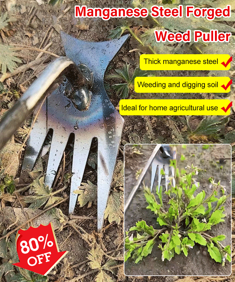 Four tooth weeding tool