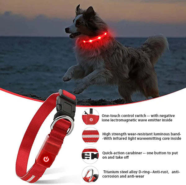 The Pethouse negative ion infrared pet electromagnetic physiotherapy collar.